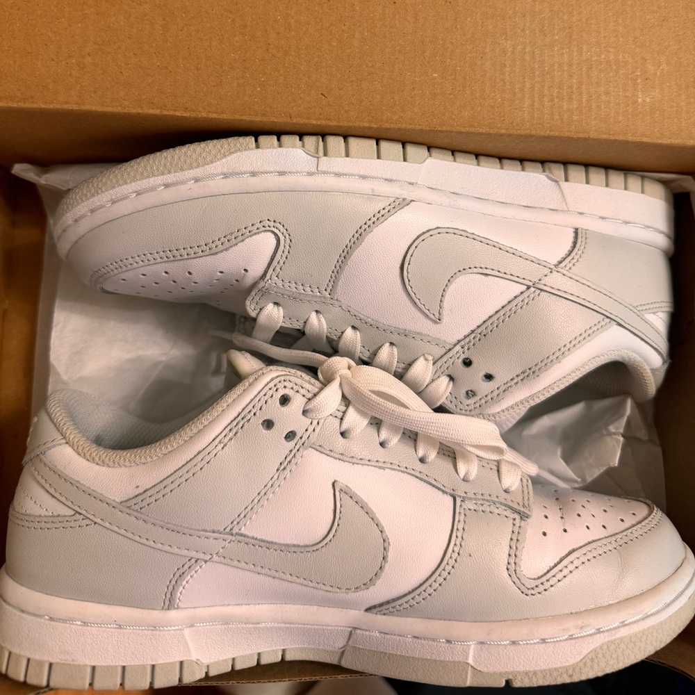 Nike Photon Dust Dunks